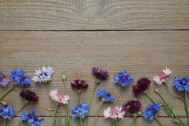 Beautiful colorful cornflowers on wooden background, flat lay. Space for text