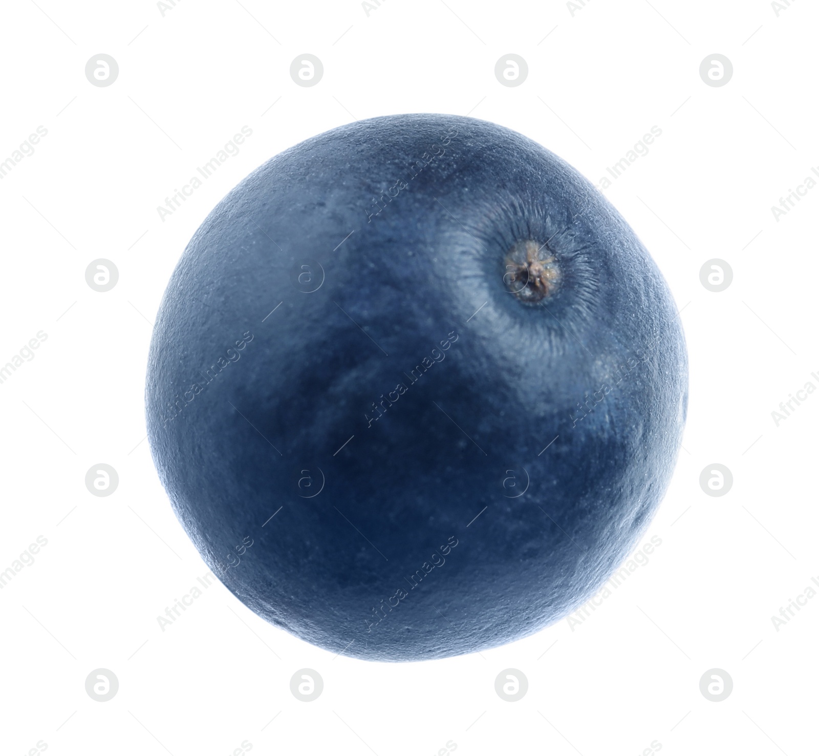 Photo of Fresh raw ripe blueberry isolated on white