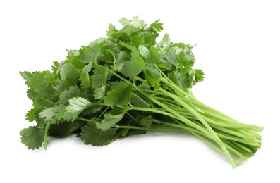 Bunch of fresh coriander on white background