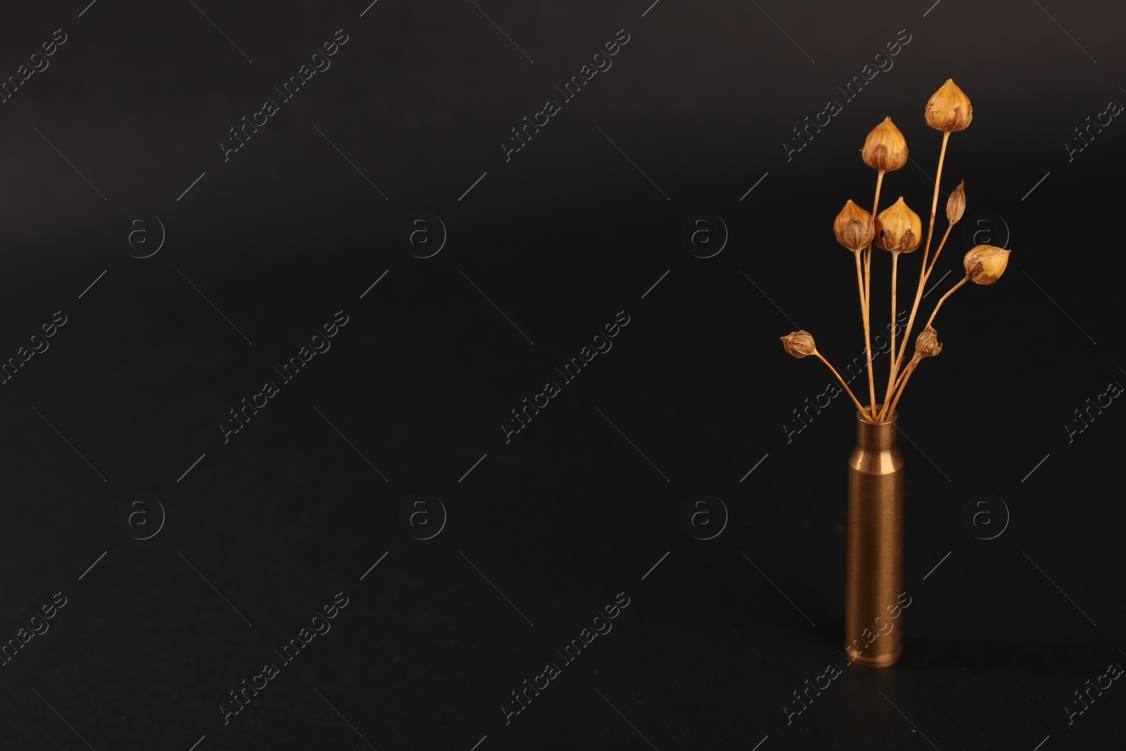 Photo of Bullet case with beautiful dry plant on black background. Space for text