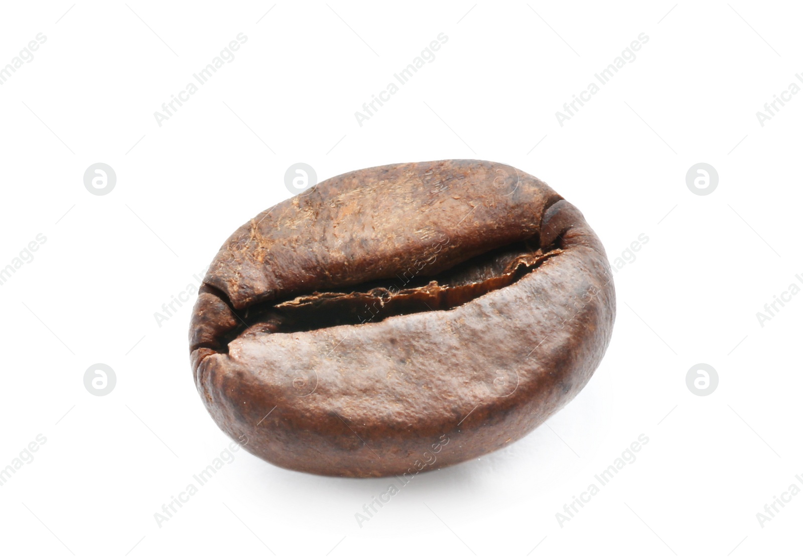 Photo of Coffee bean on white background