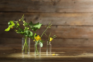 Celandine flowers in glass bottles on wooden table, space for text