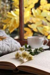 Photo of Book with flowers, soft sweater and dry leaves on wooden windowsill indoors, closeup. Autumn atmosphere