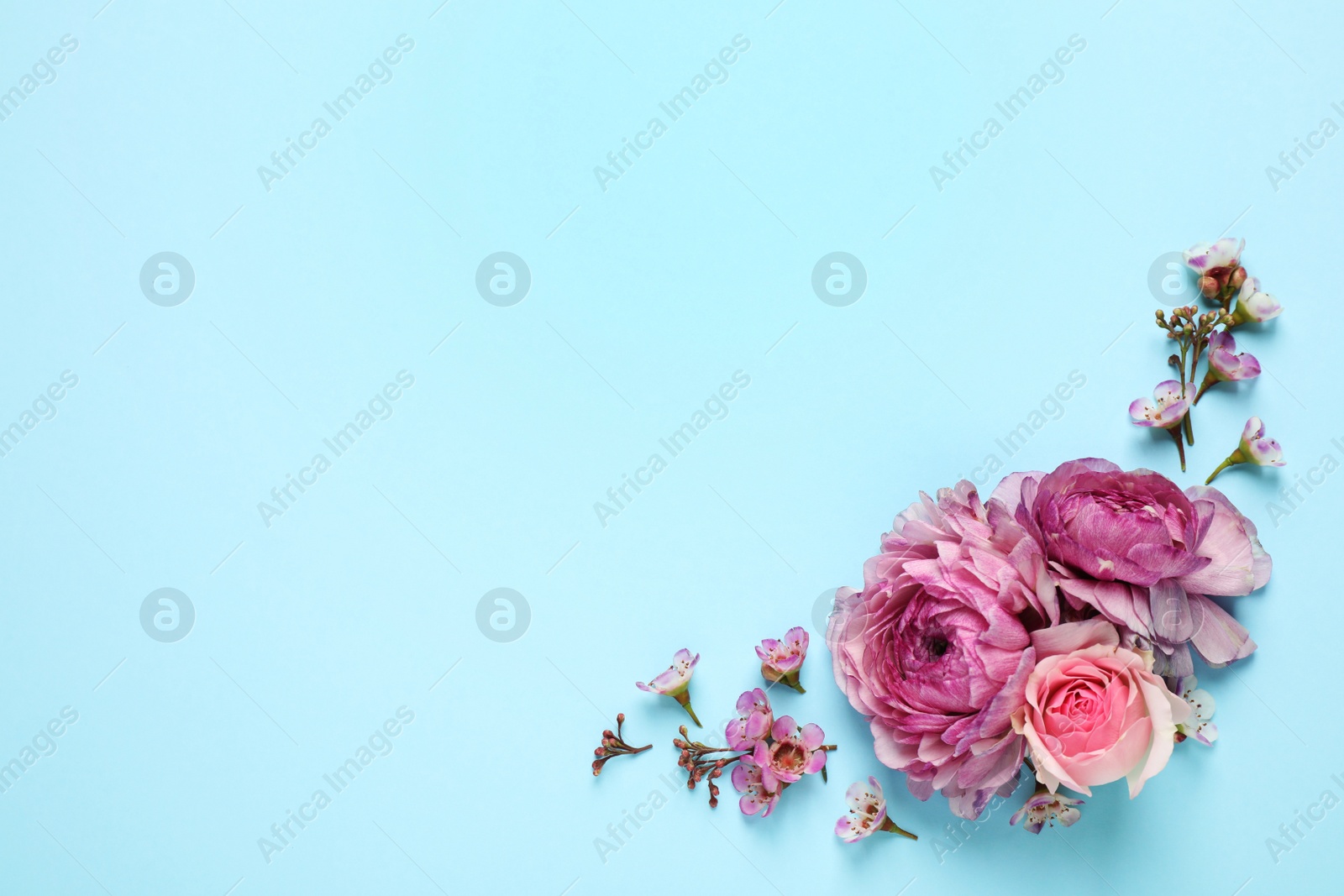 Photo of Flat lay composition with beautiful flowers and space for text on light blue background. Floral card design