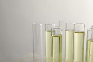 Photo of Test tubes with urine samples for analysis on light grey background, closeup