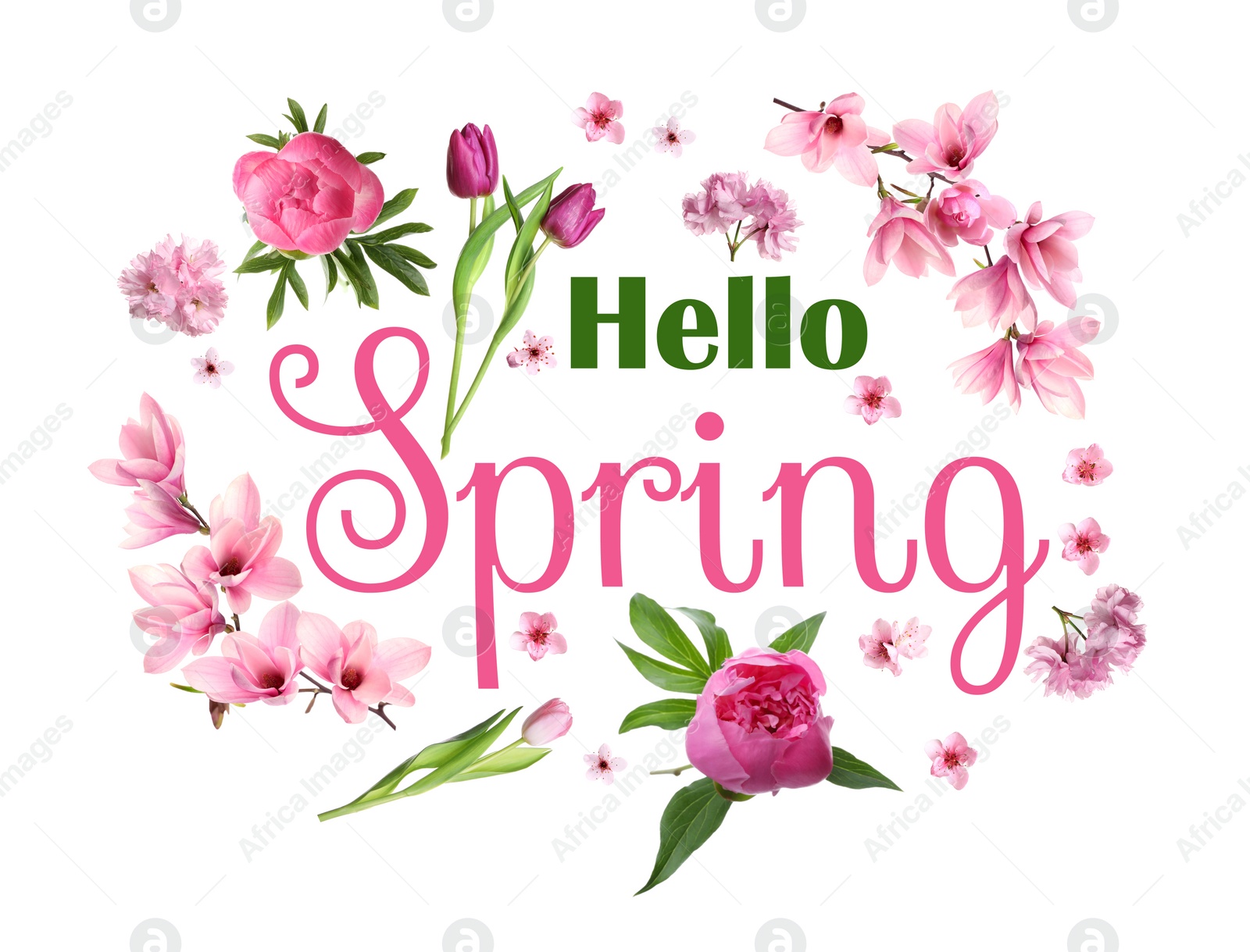 Image of Hello Spring card. Beautiful flowers on white background