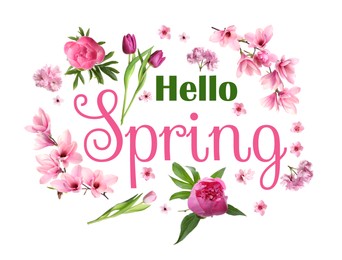 Hello Spring card. Beautiful flowers on white background