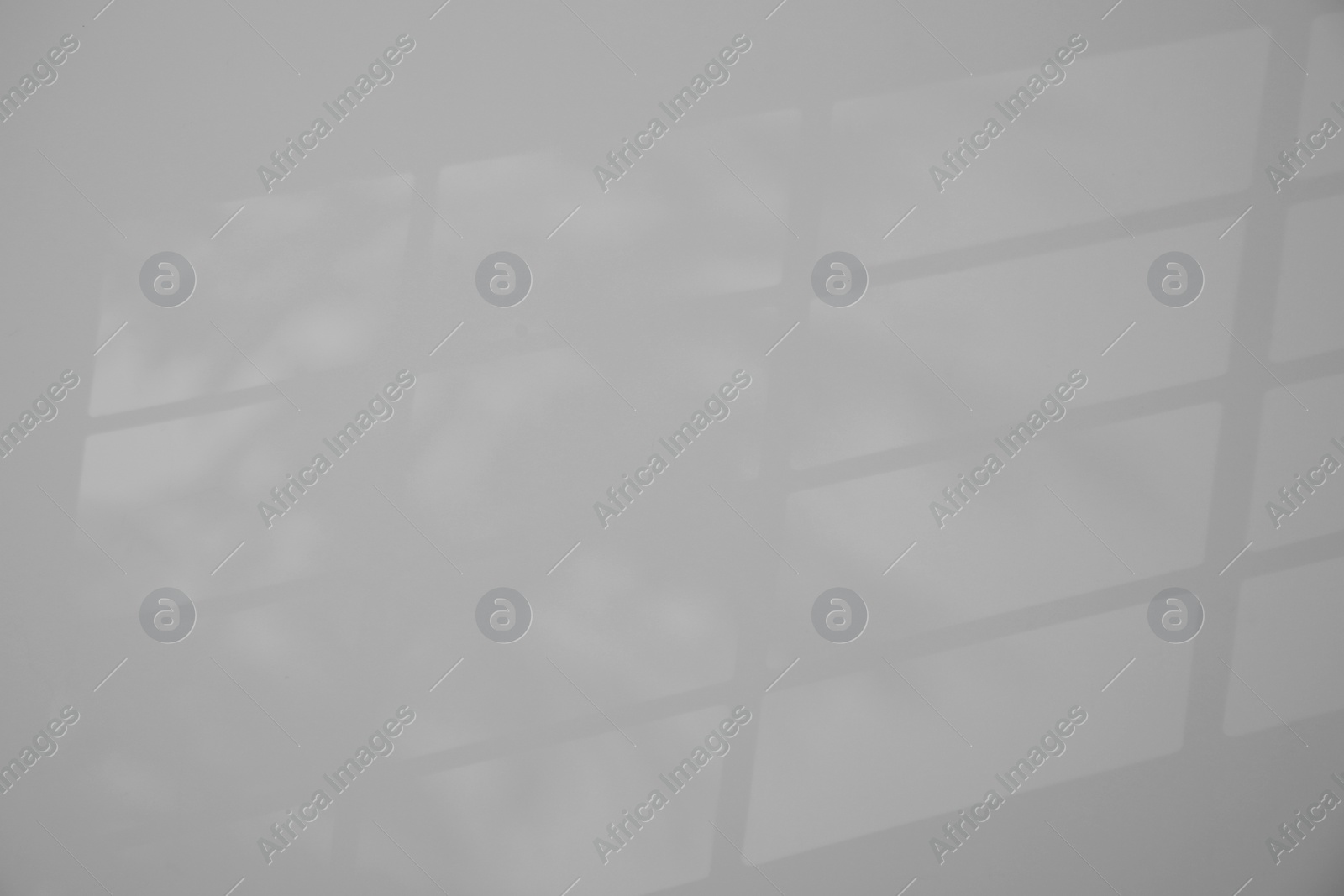 Photo of Shadow from window and houseplant on light grey wall indoors