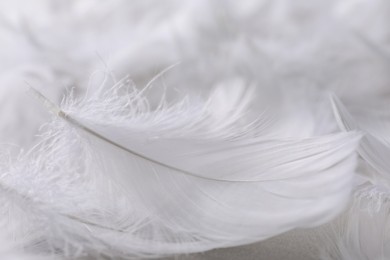 Photo of Fluffy white feathers on blurred background, closeup