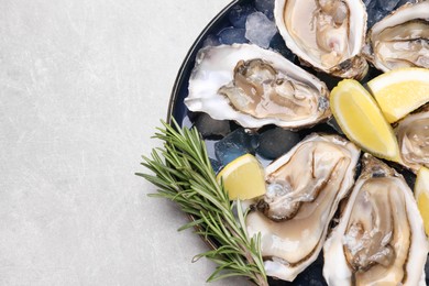 Photo of Delicious fresh oysters with lemon slices and rosemary on light grey table, top view. Space for text