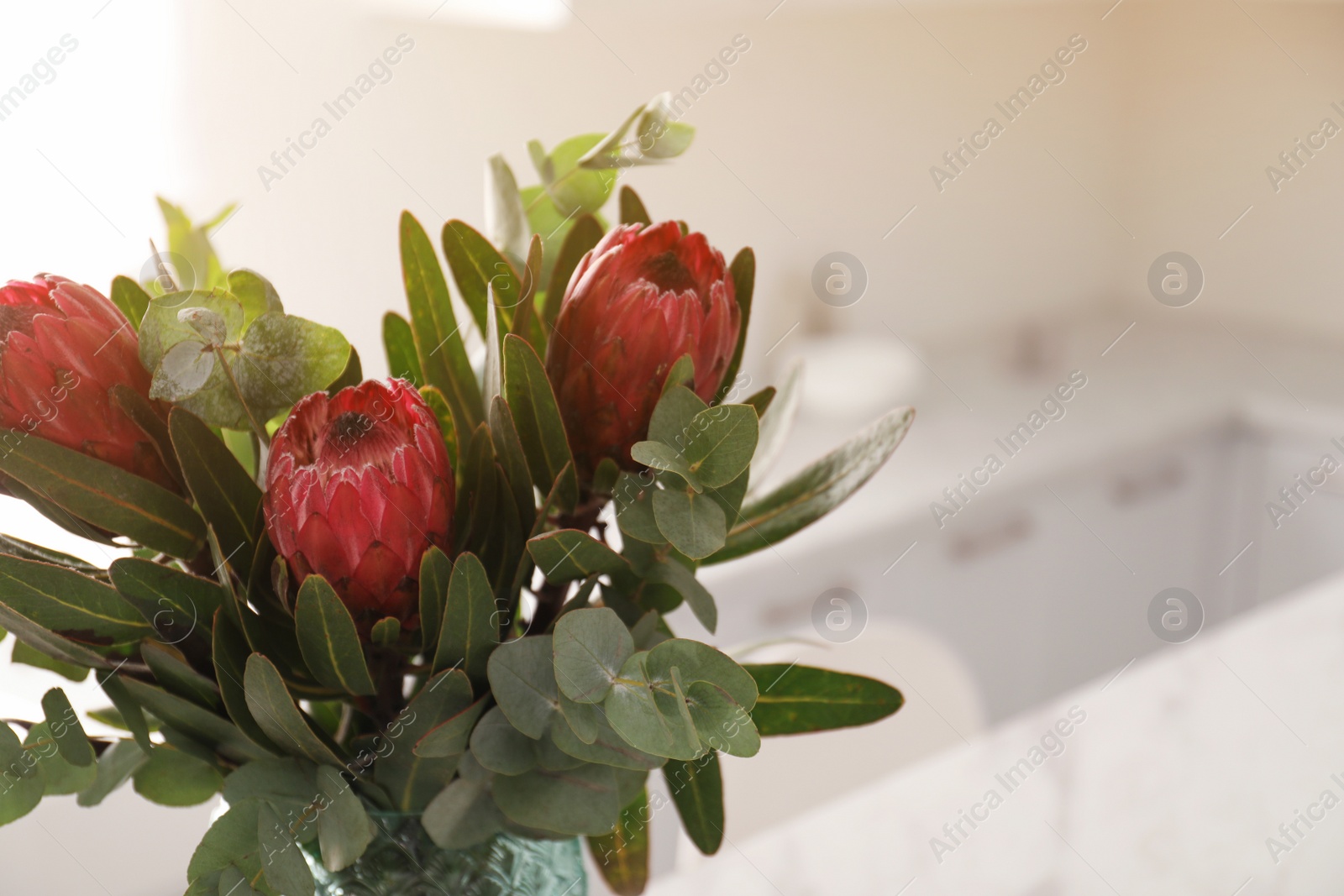 Photo of Bouquet of beautiful protea flowers and eucalyptus branches in kitchen interior, closeup. Space for text