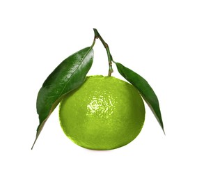 Image of Green tangerine isolated on white. Citrus fruit