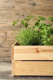 Photo of Crate with different aromatic herbs on wooden table