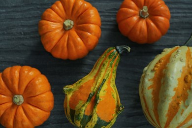 Many different pumpkins on wooden table, flat lay