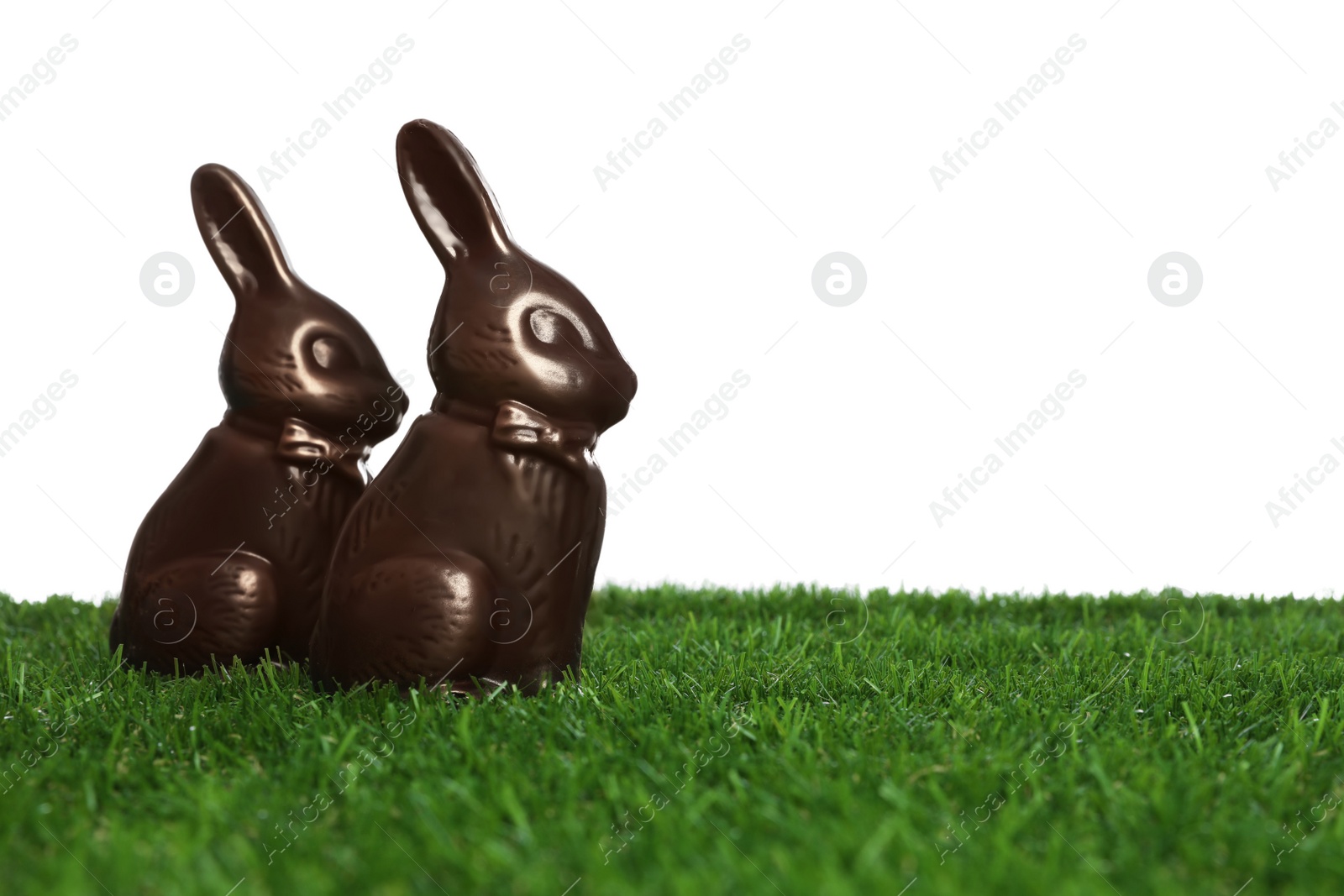 Photo of Chocolate bunnies on green grass against white background, space for text. Easter celebration