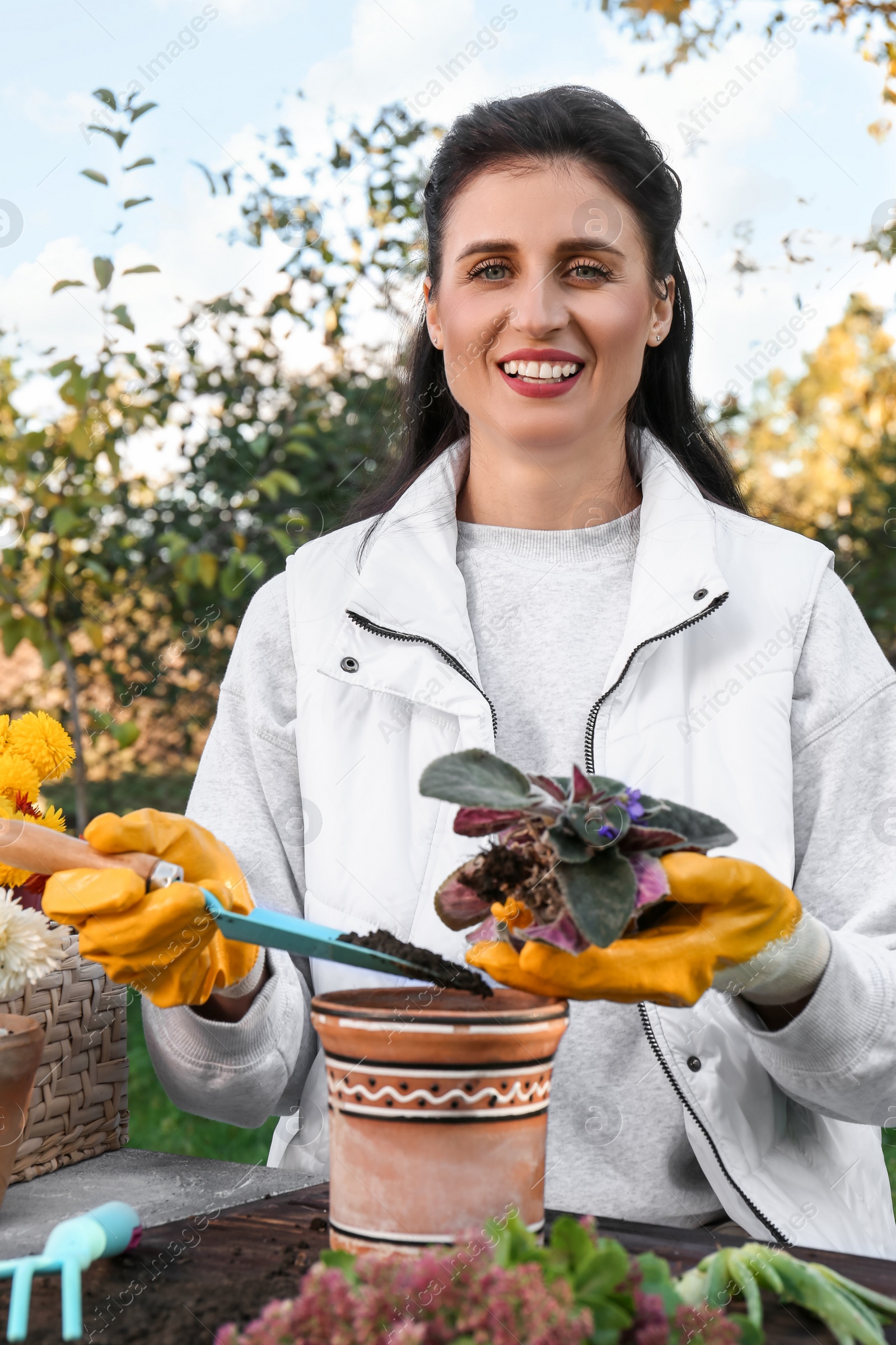 Photo of Woman in gardening gloves transplanting flower into pot at table outdoors