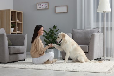 Photo of Cute Labrador Retriever dog giving paw to happy woman on floor at home. Adorable pet