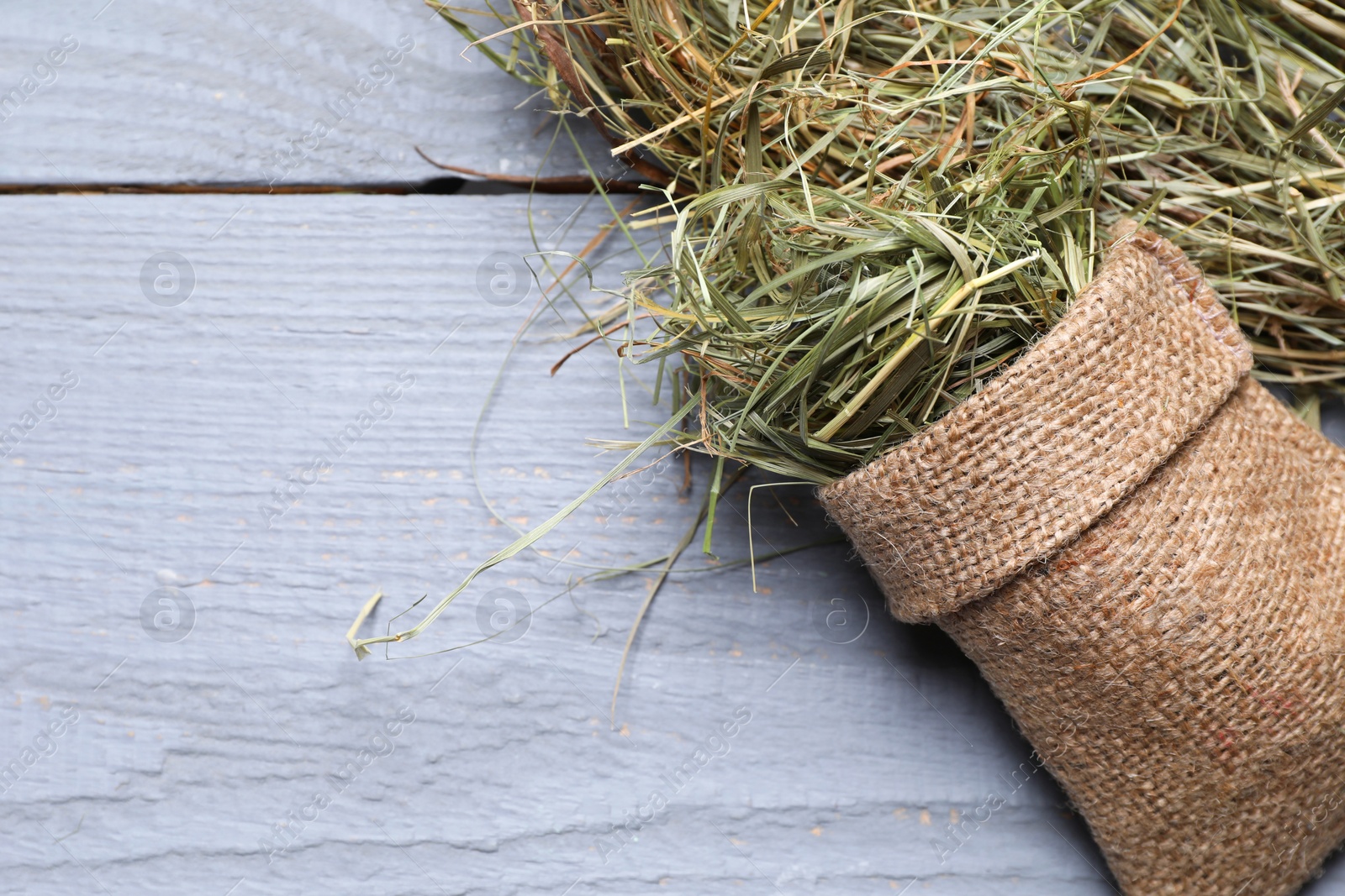 Photo of Burlap sack with dried hay on grey wooden table, top view. Space for text