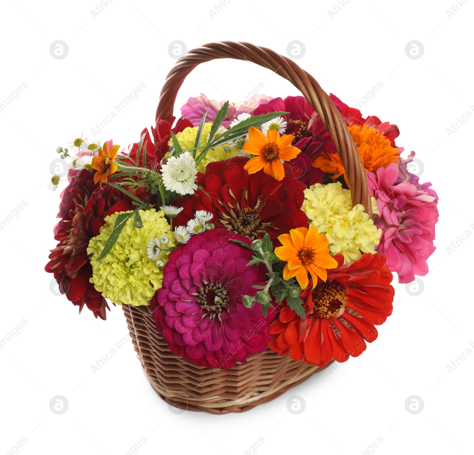 Photo of Beautiful wild flowers in wicker basket isolated on white