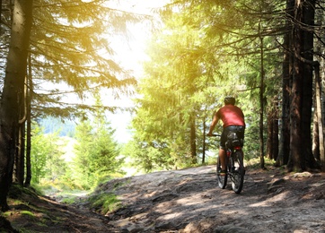 Cyclist riding bike down beautiful forest trail