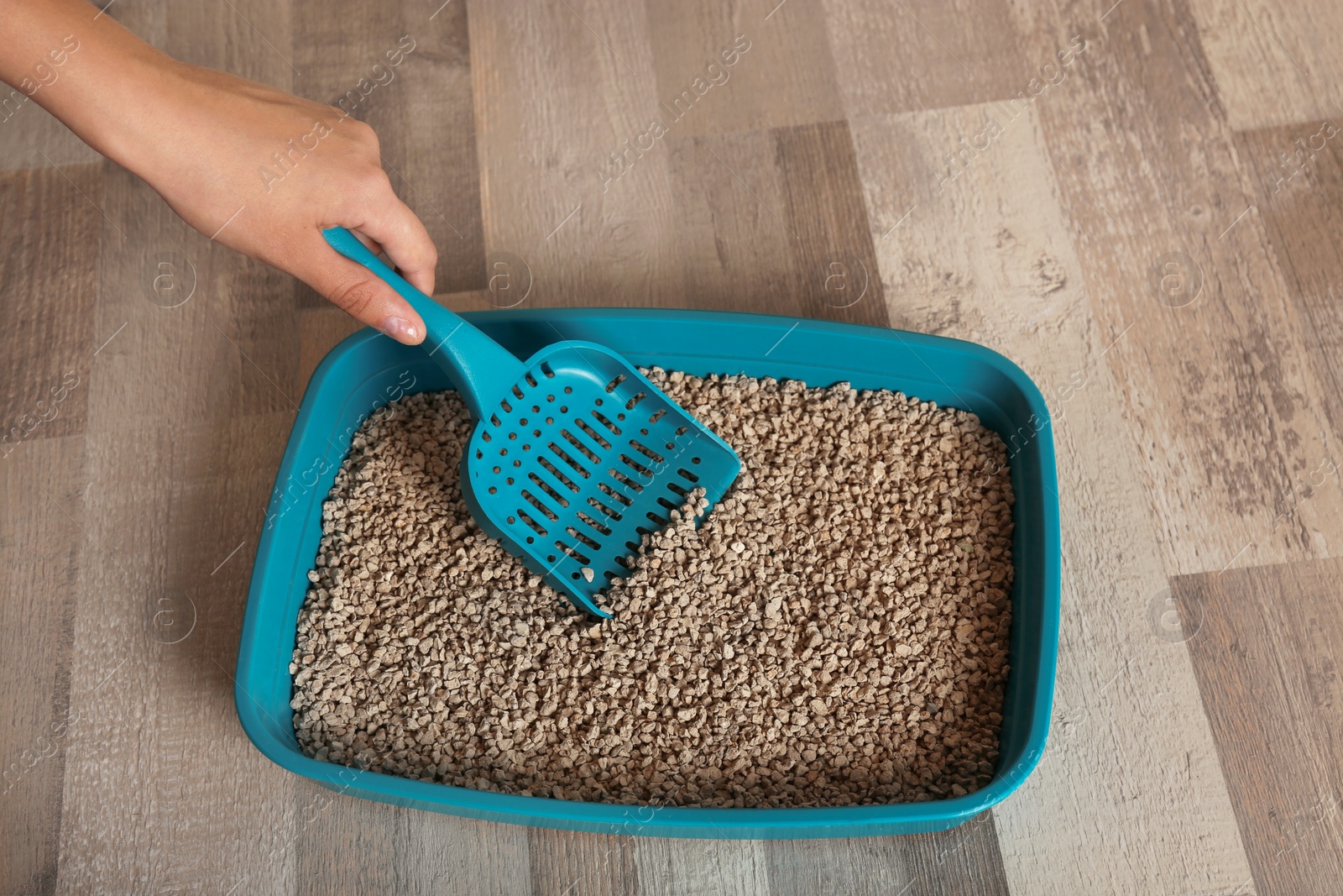 Photo of Woman cleaning cat toilet with scoop on floor. Pet care