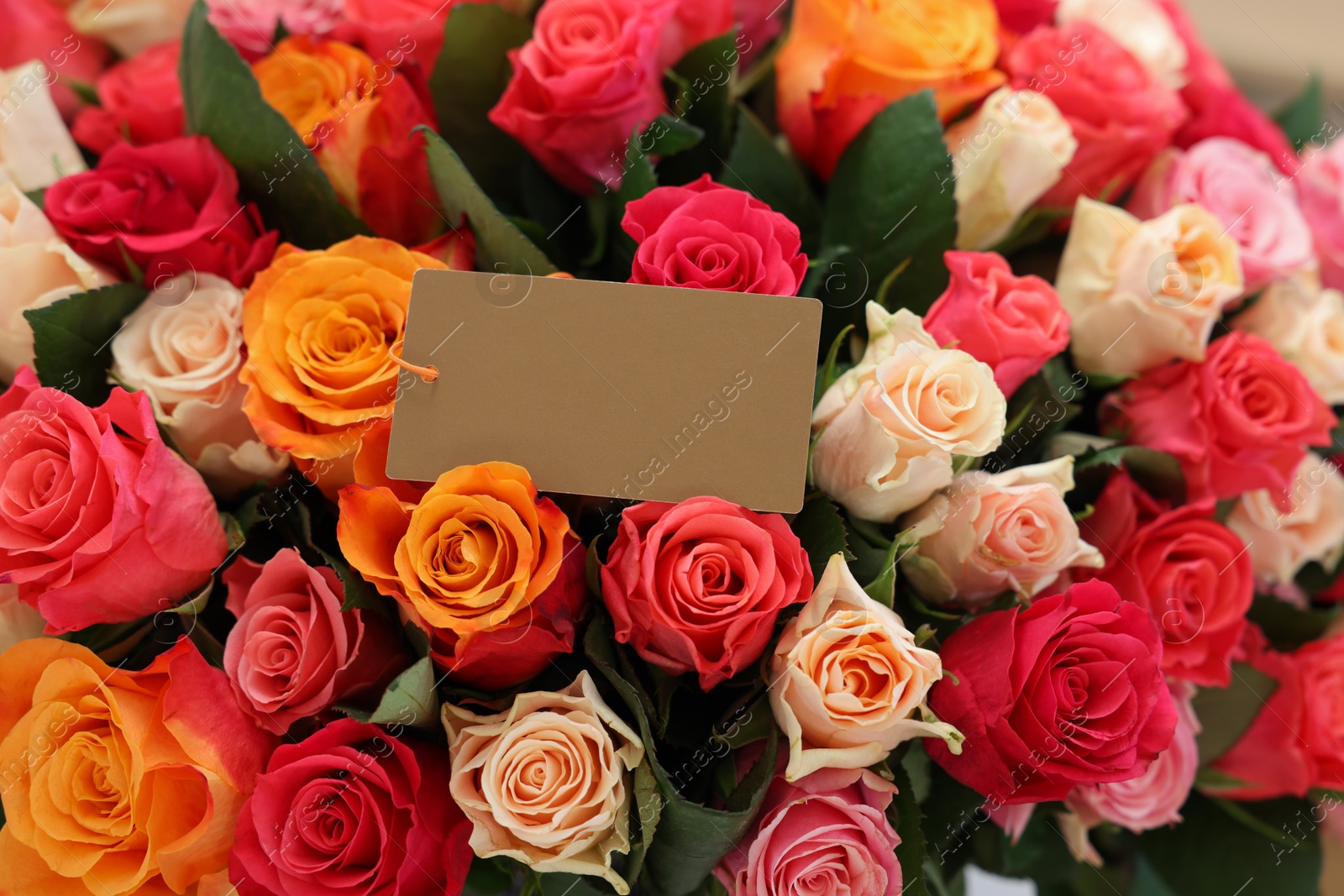 Photo of Bouquet of beautiful roses with blank card, closeup