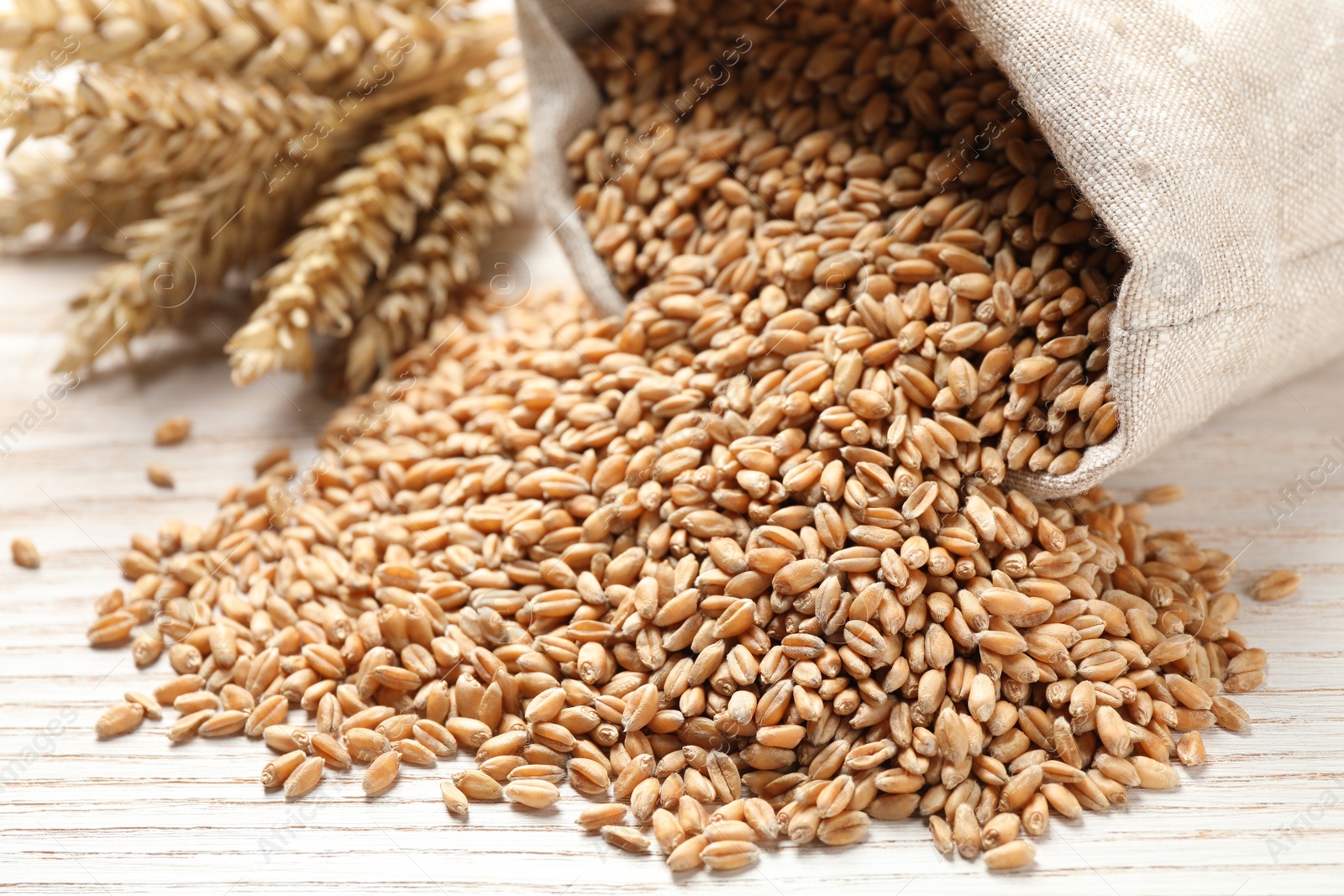 Photo of Sack with wheat grains on white wooden table, closeup