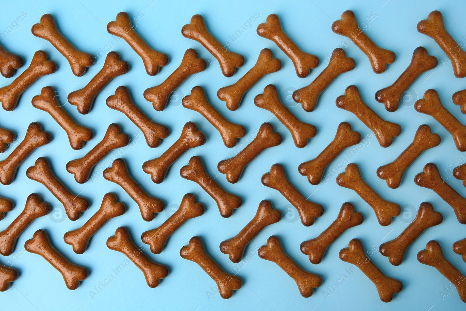 Photo of Flat lay composition with bone shaped dog cookies on light blue background