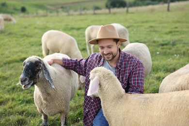 Smiling man with sheep on pasture at farm