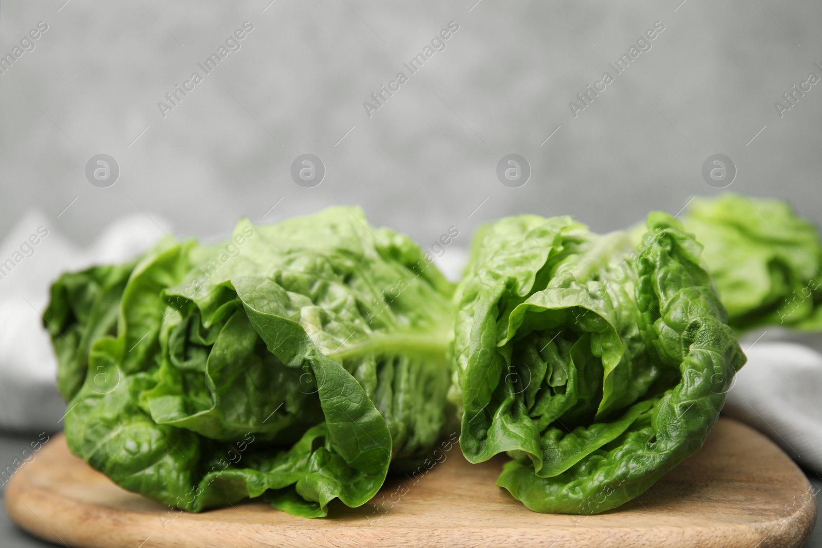 Photo of Fresh green romaine lettuces on grey wooden table, closeup