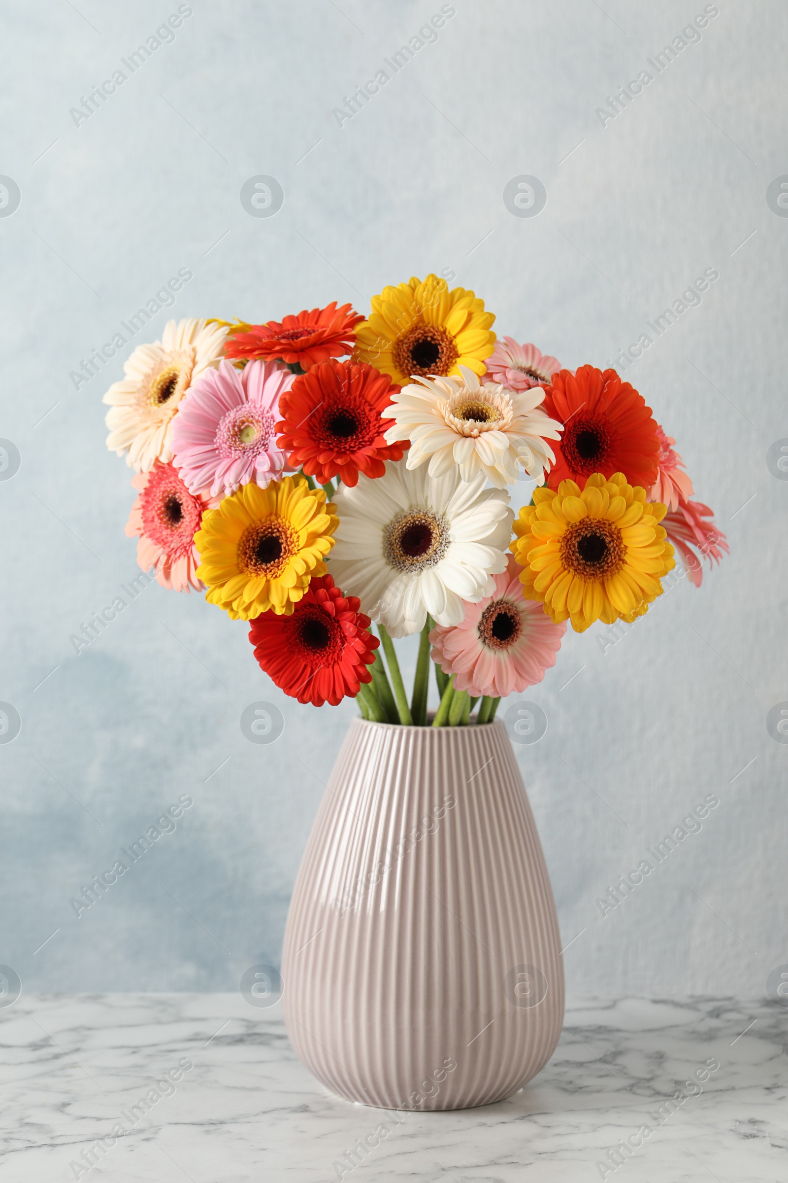 Photo of Bouquet of beautiful colorful gerbera flowers in vase on white marble table against light blue background