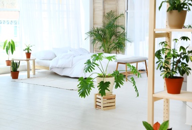 Bedroom interior with indoor plants. Trendy home decor