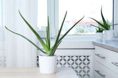 Photo of Potted aloe vera plant and space for text on blurred background