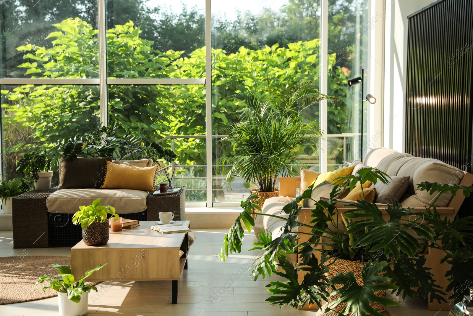 Photo of Indoor terrace interior with modern furniture and houseplants