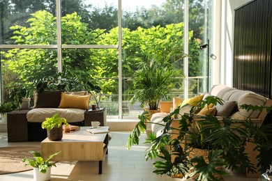 Indoor terrace interior with modern furniture and houseplants