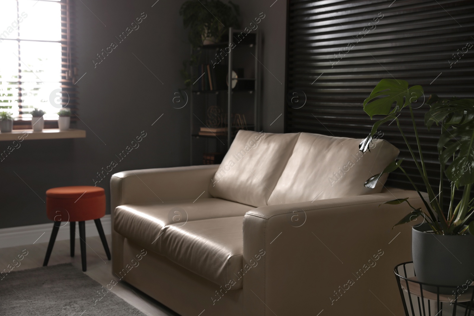 Photo of Stylish living room interior with elegant leather sofa