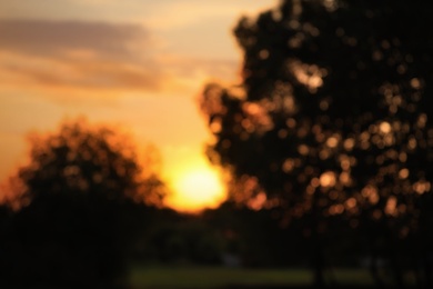Photo of Blurred view of park with trees at sunset