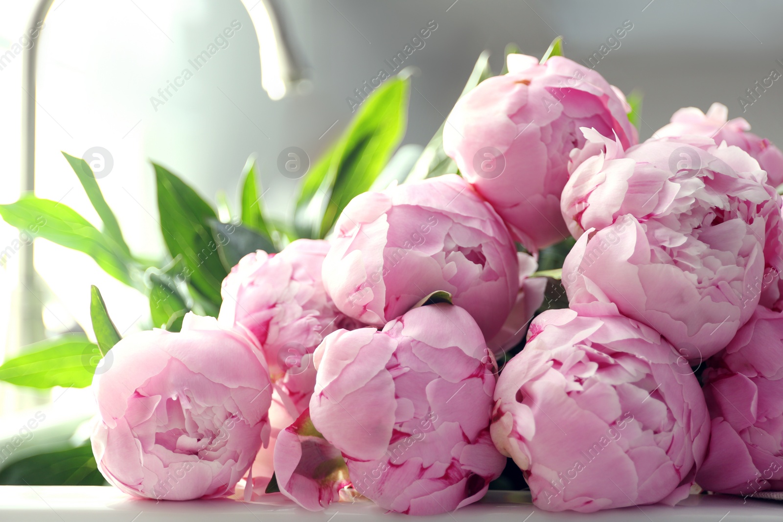 Photo of Bouquet of beautiful pink peonies on counter in kitchen