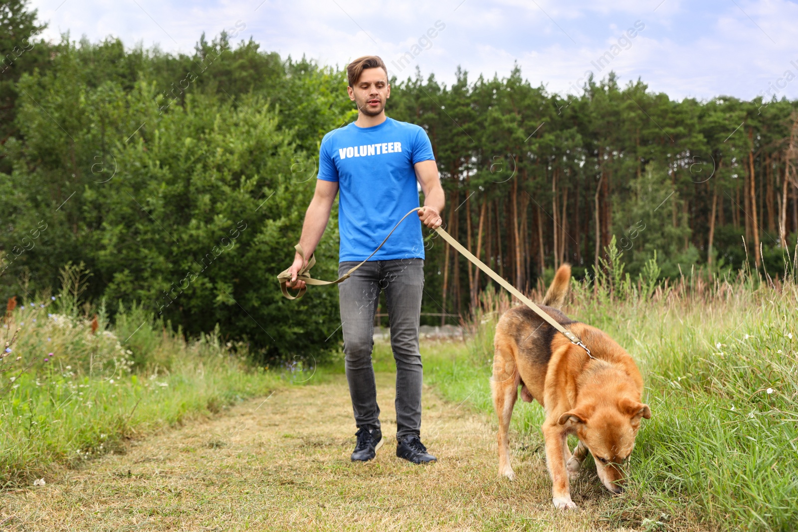 Photo of Male volunteer with homeless dog at animal shelter outdoors