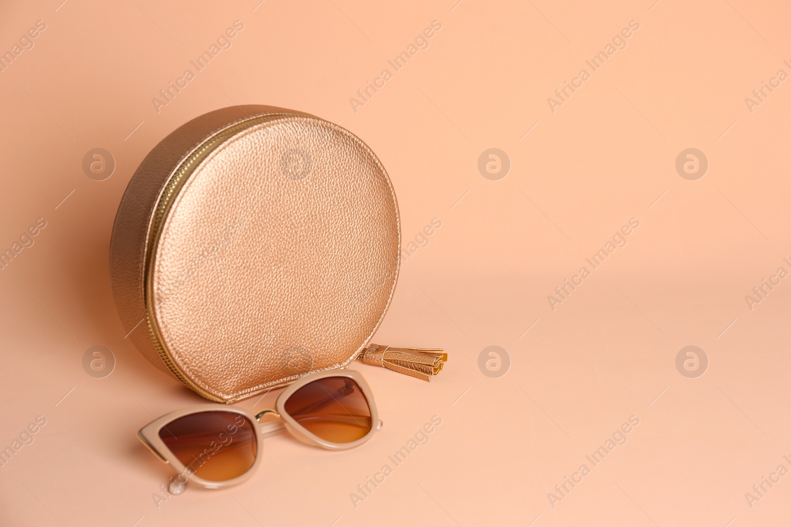 Photo of Stylish woman's bag and sunglasses on pale pink background. Space for text