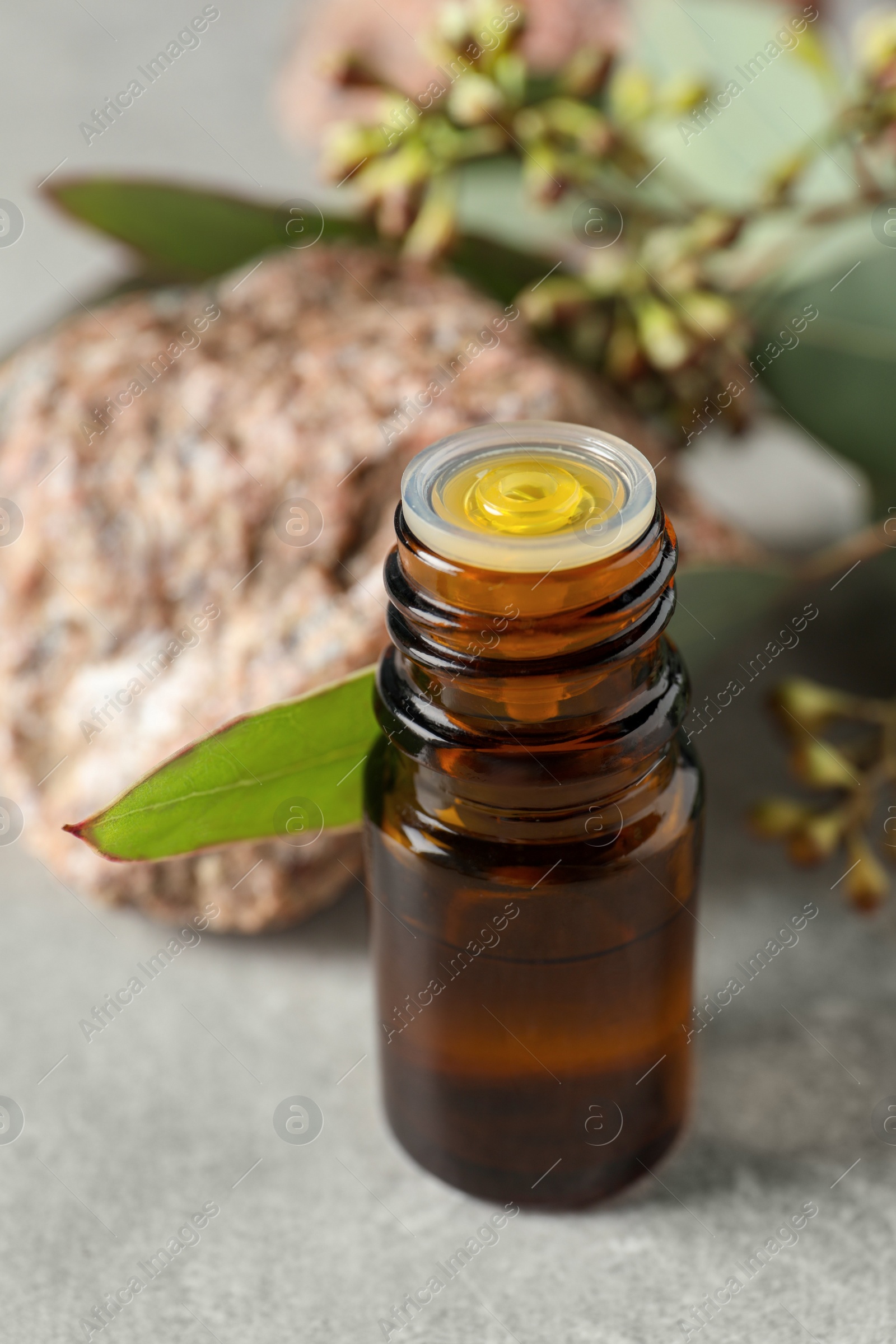 Photo of Bottle of eucalyptus essential oil, stone and leaves on light grey table