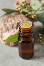 Bottle of eucalyptus essential oil, stone and leaves on light grey table