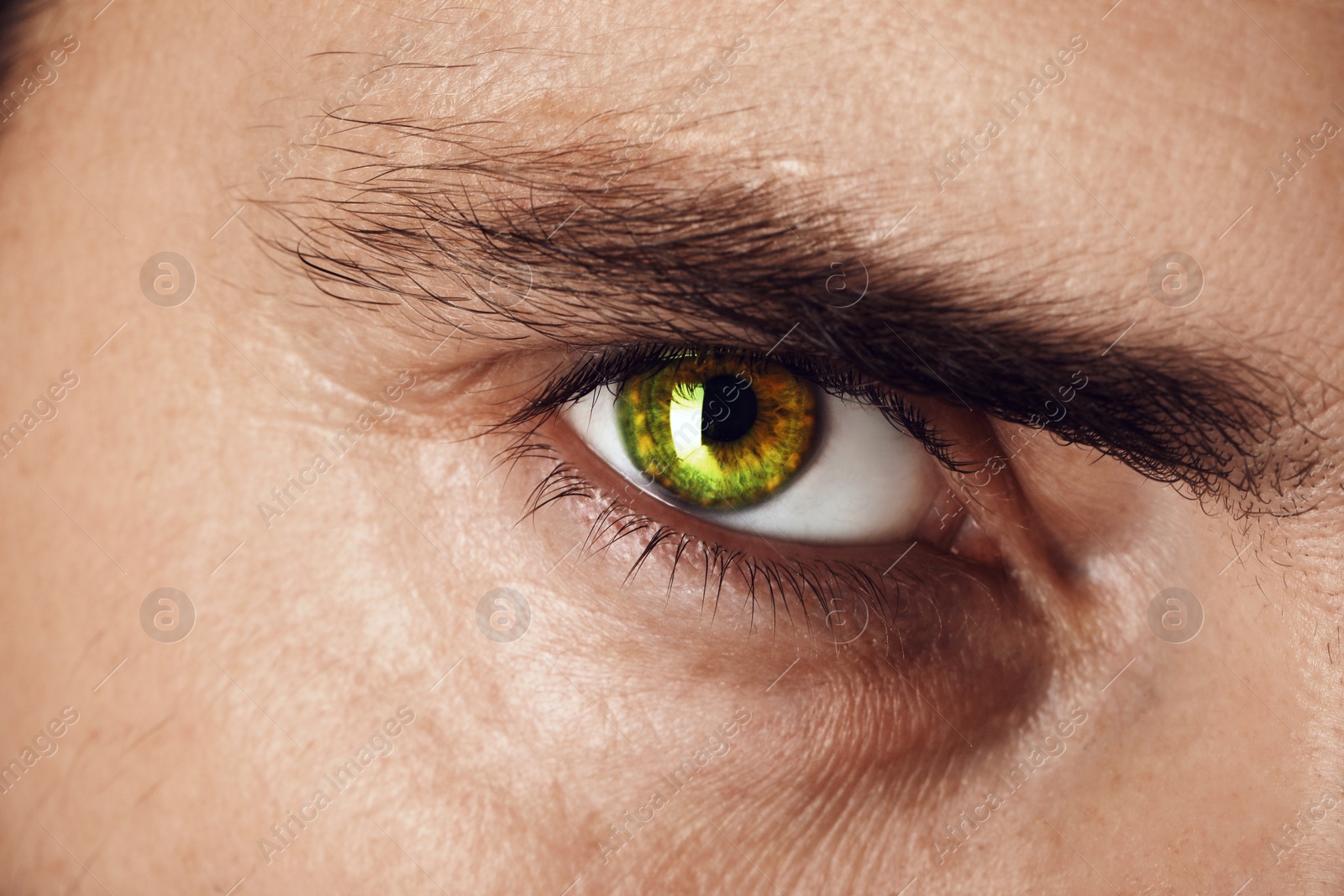 Image of Captivating gaze. Man with green eyes, closeup