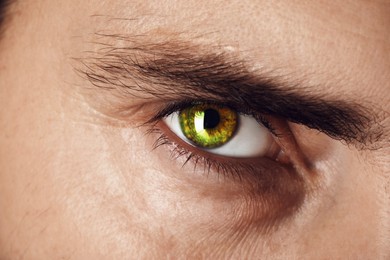 Captivating gaze. Man with green eyes, closeup