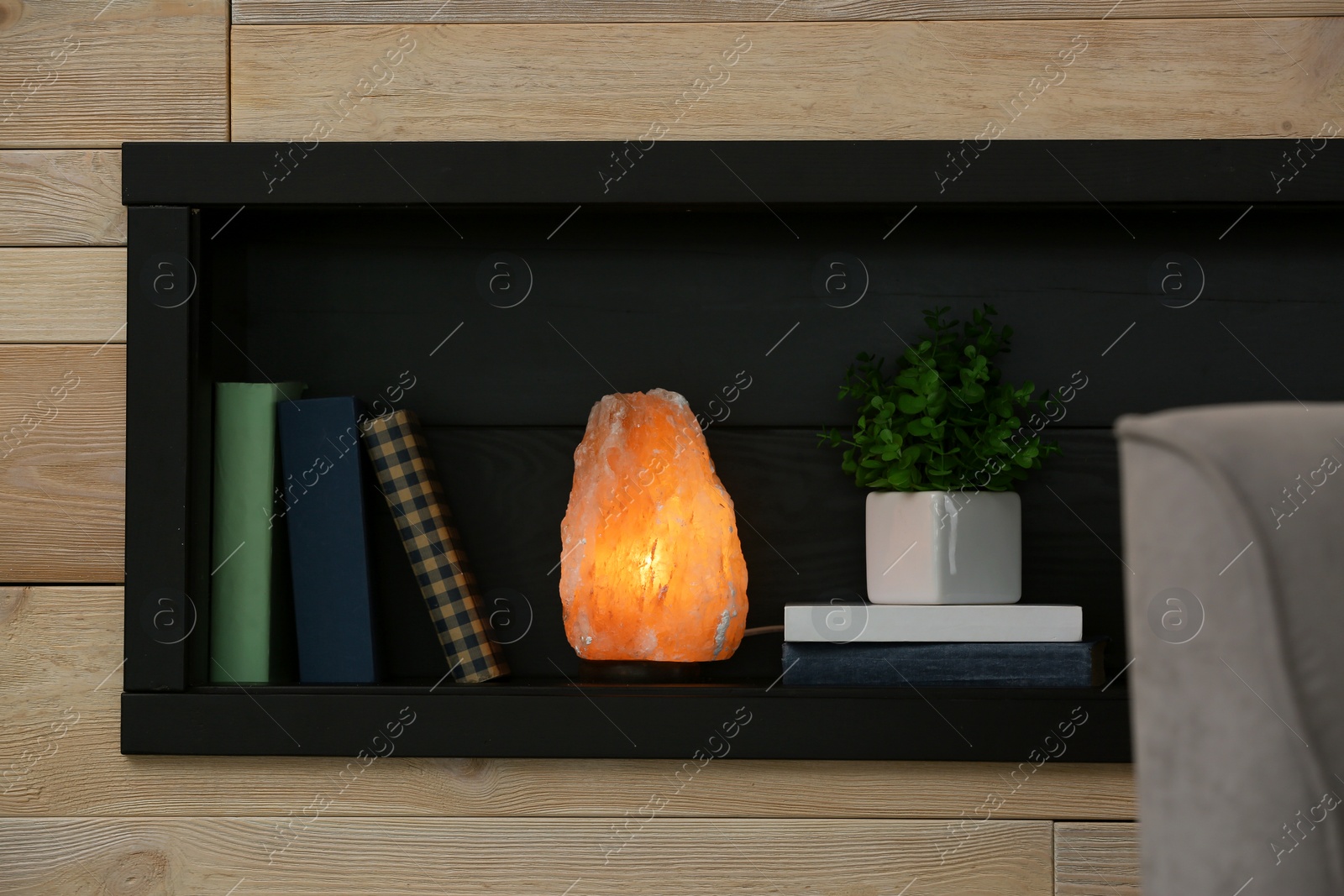Photo of Shelf with books, houseplant and Himalayan salt lamp