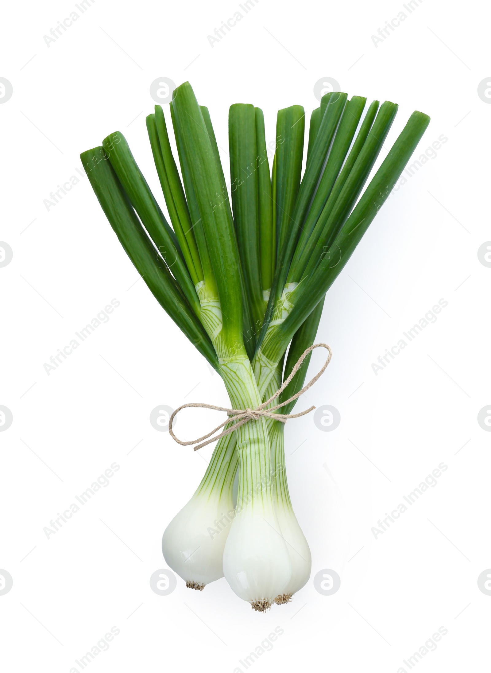 Photo of Whole green spring onions isolated on white, top view