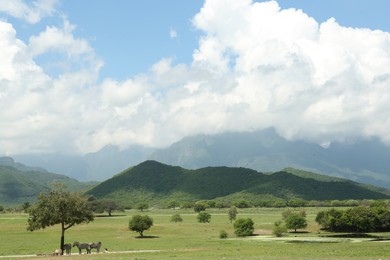 Photo of Picturesque view of safari park with animals and mountains