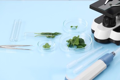 Photo of Food Quality Control. Microscope, petri dishes with parsley and other laboratory equipment on light blue table