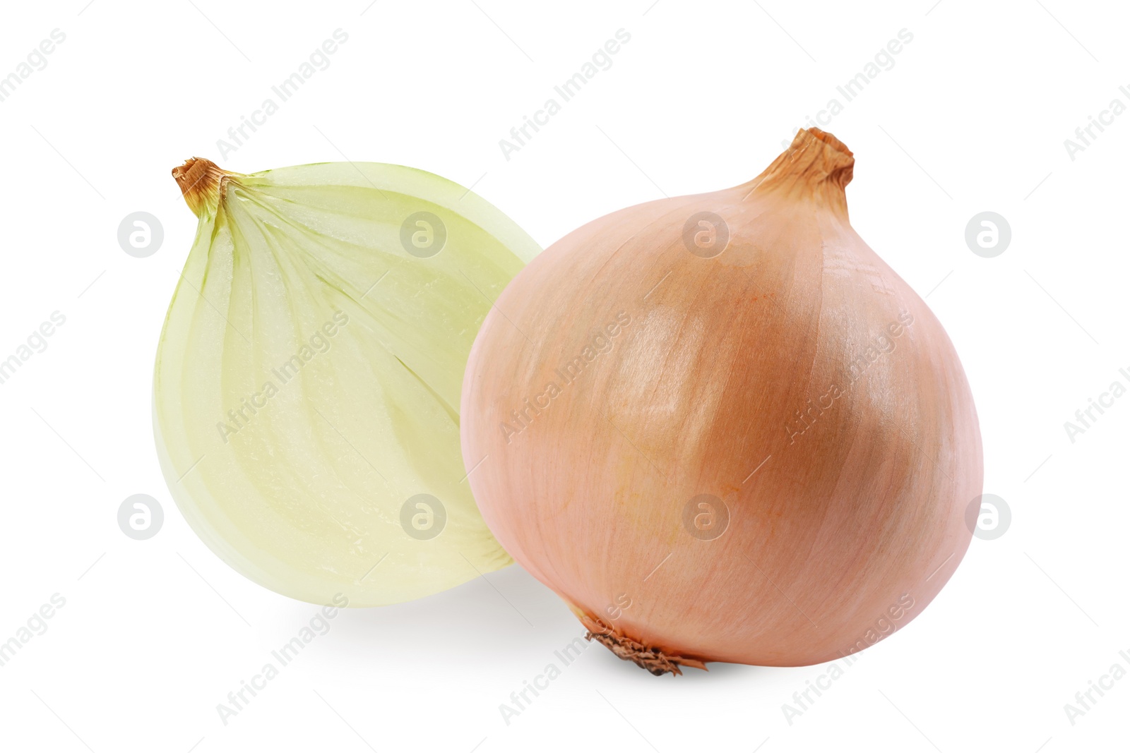 Image of Whole and cut onion bulbs isolated on white