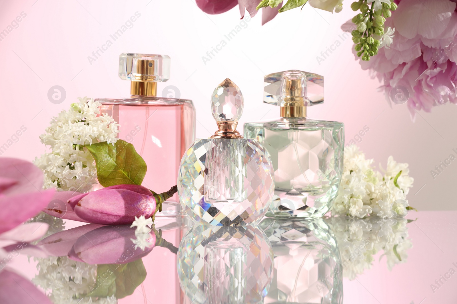 Photo of Luxury perfumes and floral decor on mirror surface against pink background